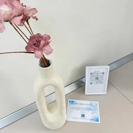 Appartement Luxury Studios # Aparthotel Brasov Braşov